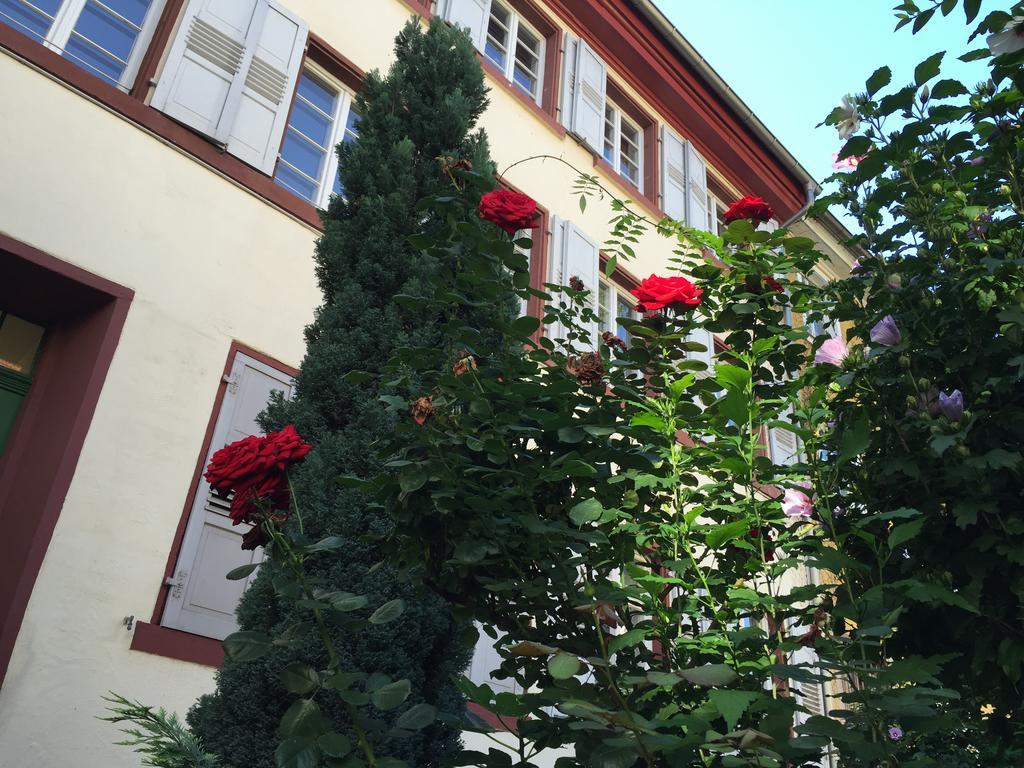 Appartement Im Herzen Der Altstadt
